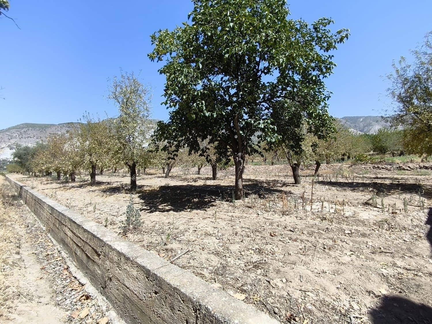 Ubebygd land til salgs i Durcal - € 95 000 (Ref: 10120460)