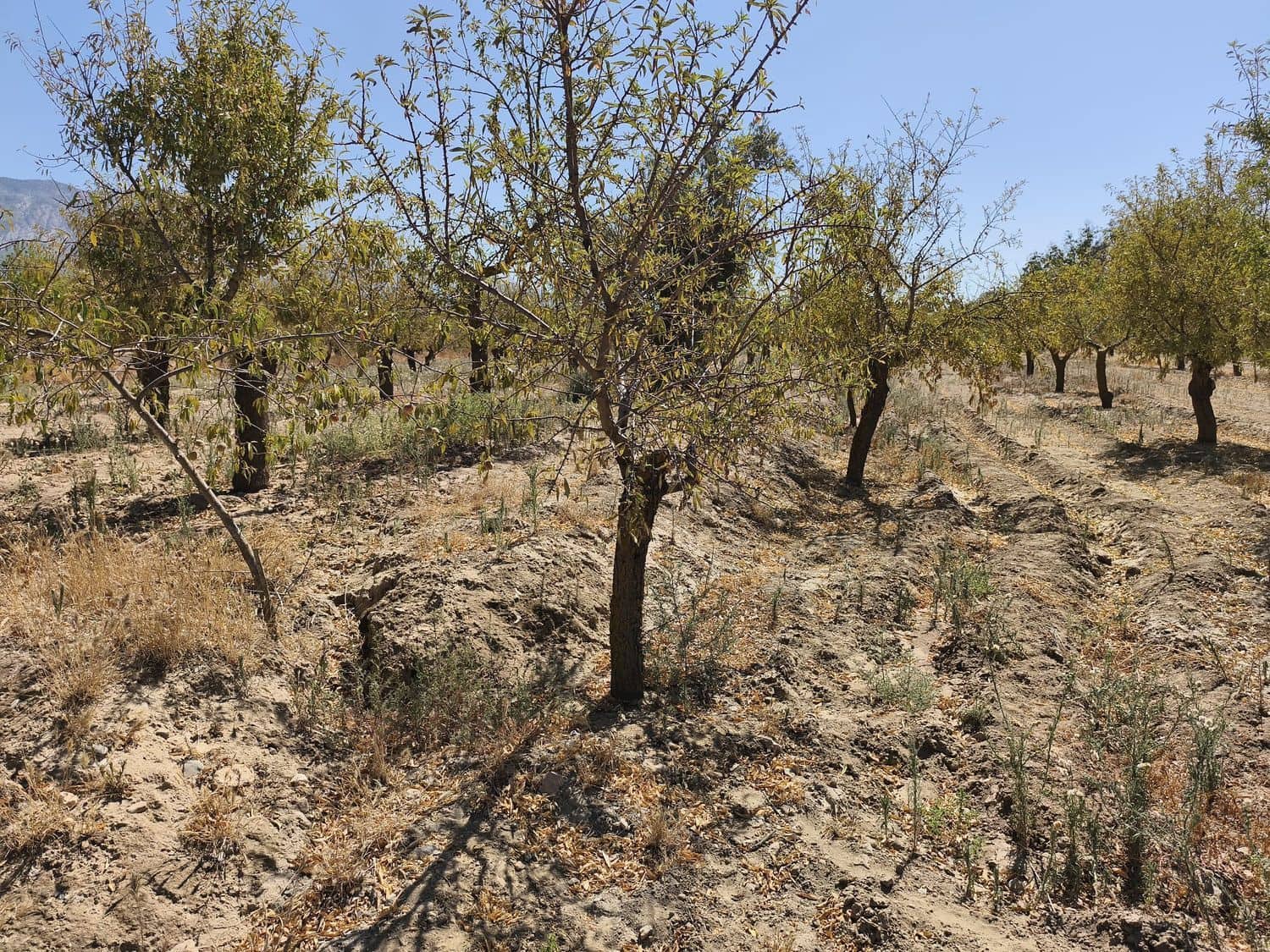 Ubebygd land til salgs i Durcal - € 95 000 (Ref: 10120460)