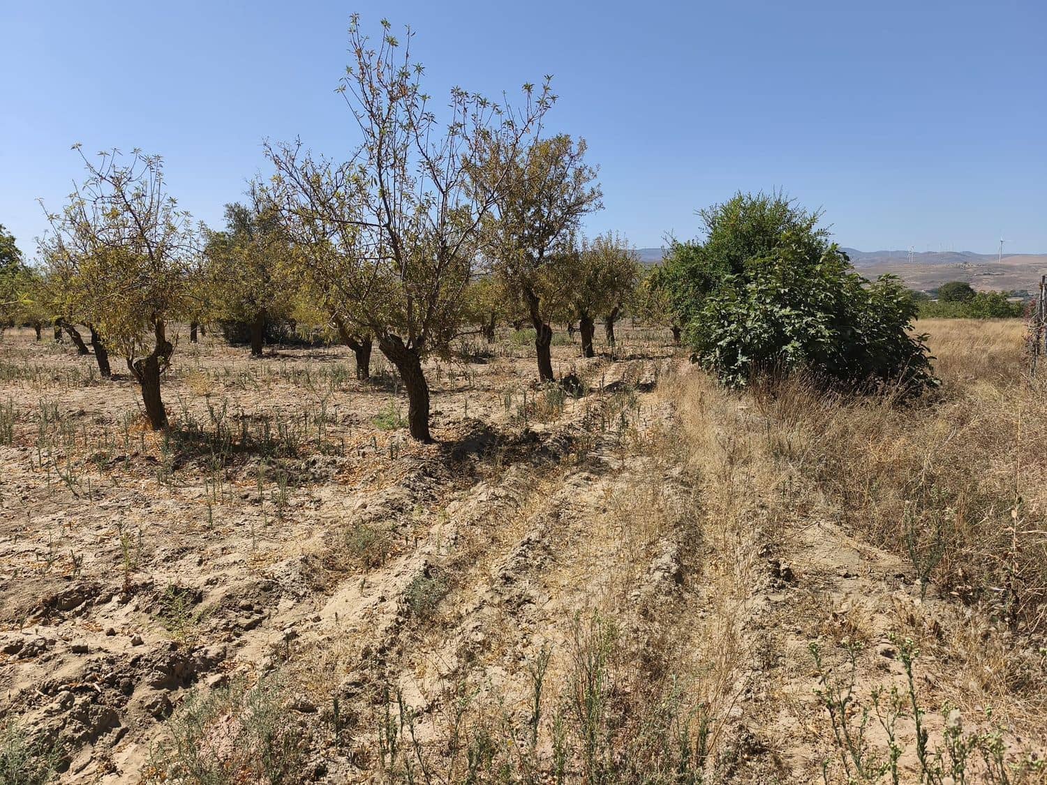 Ubebygd land til salgs i Durcal - € 95 000 (Ref: 10120460)