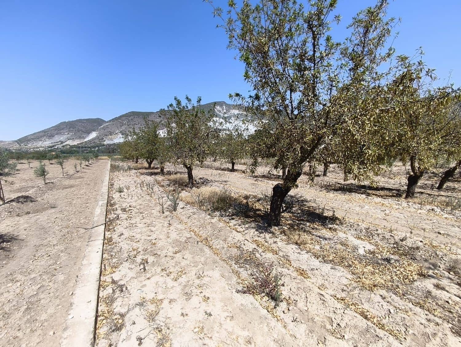 Ubebygd land til salgs i Durcal - € 95 000 (Ref: 10120460)