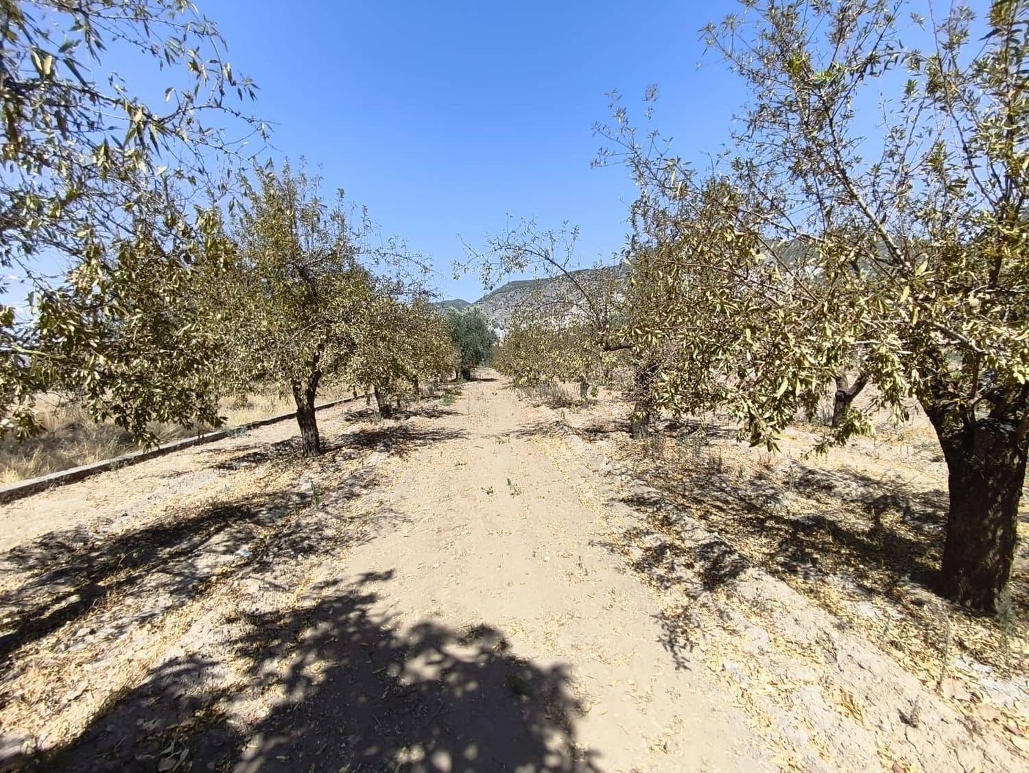 Ubebygd land til salgs i Durcal - € 95 000 (Ref: 10120460)
