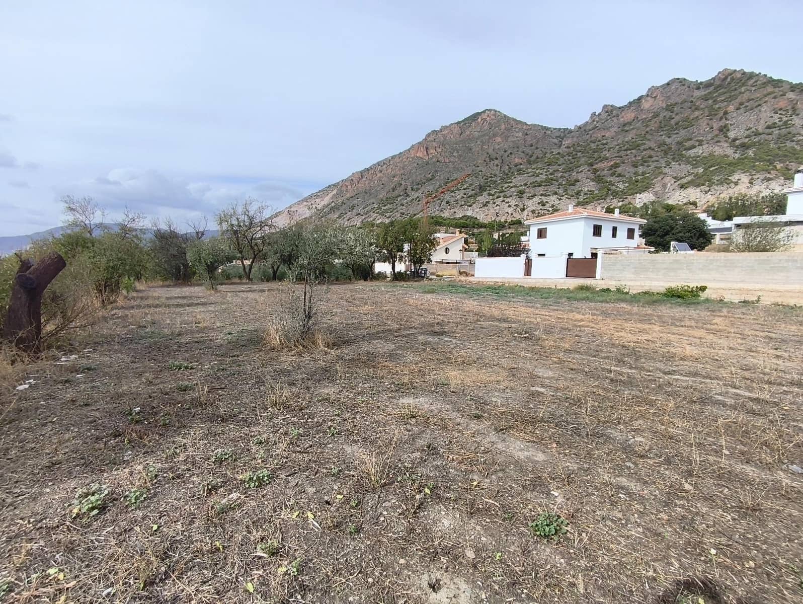 Terre non Aménagée à vendre à Niguelas - 50 000 € (Ref: 10159760)