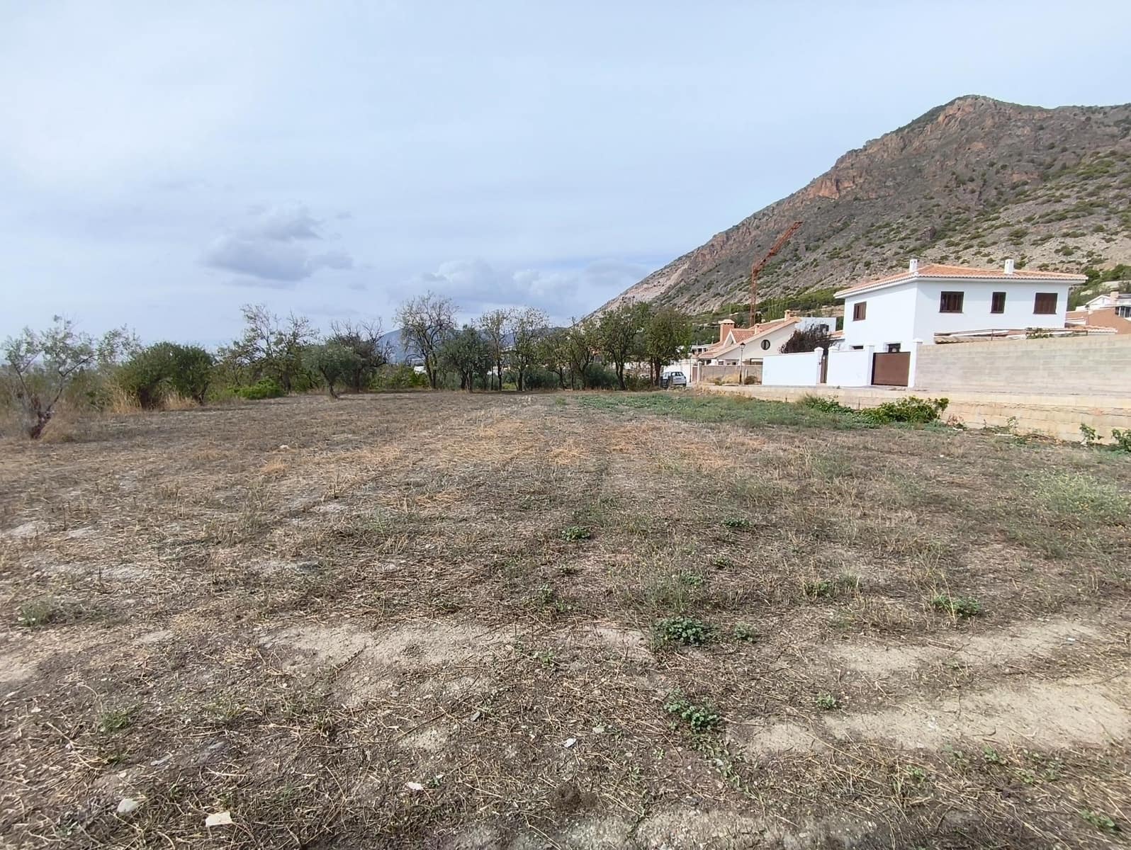 Terre non Aménagée à vendre à Niguelas - 50 000 € (Ref: 10159760)