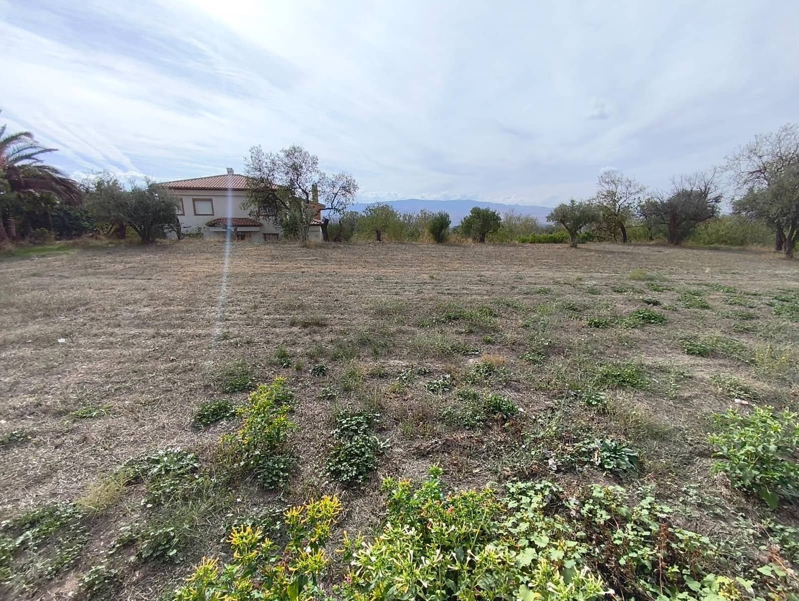 Terre non Aménagée à vendre à Niguelas - 50 000 € (Ref: 10159760)