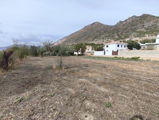 Terre non Aménagée à vendre à Nigüelas - 50 000 € (Ref: 10159760)