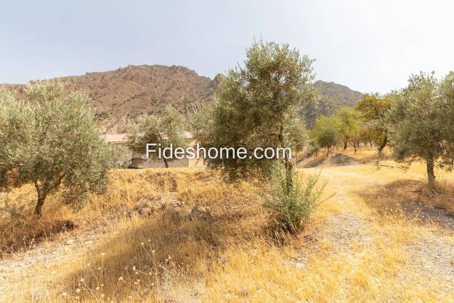 1 slaapkamer Finca/Landhuis te koop in Niguelas met garage - € 69.000 (Ref: 7104924)