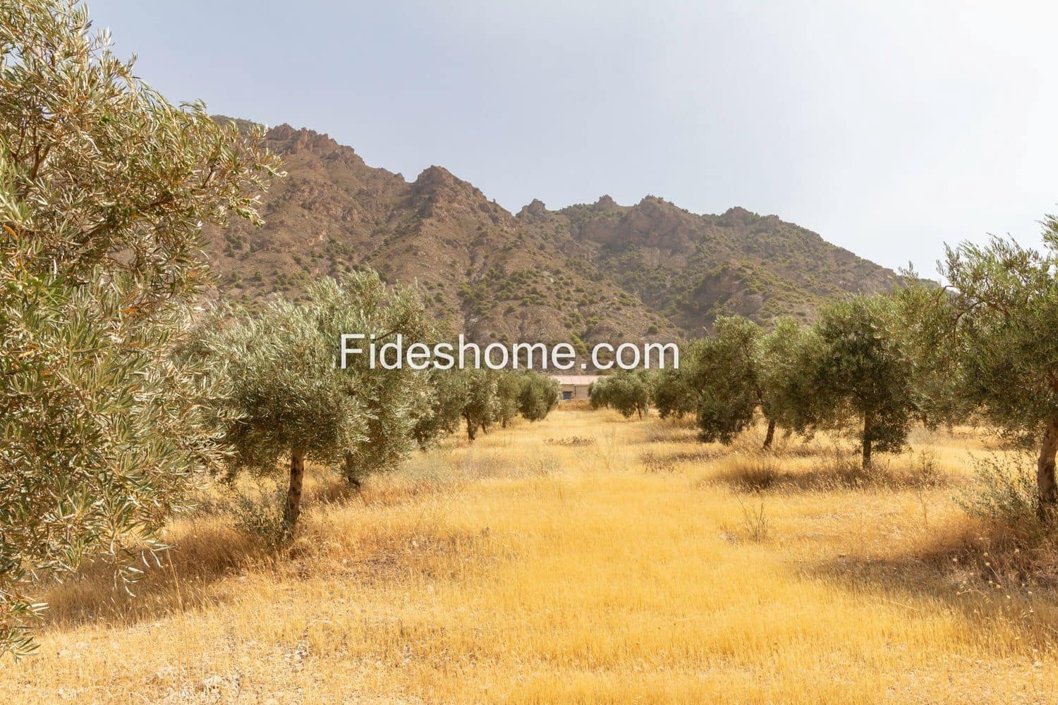 1 slaapkamer Finca/Landhuis te koop in Niguelas met garage - € 69.000 (Ref: 7104924)