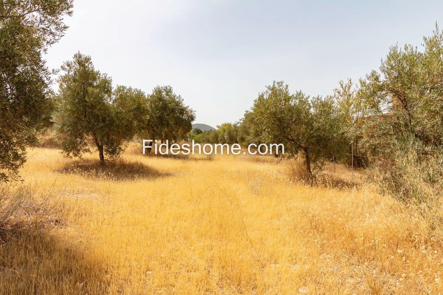 1 slaapkamer Finca/Landhuis te koop in Niguelas met garage - € 69.000 (Ref: 7104924)