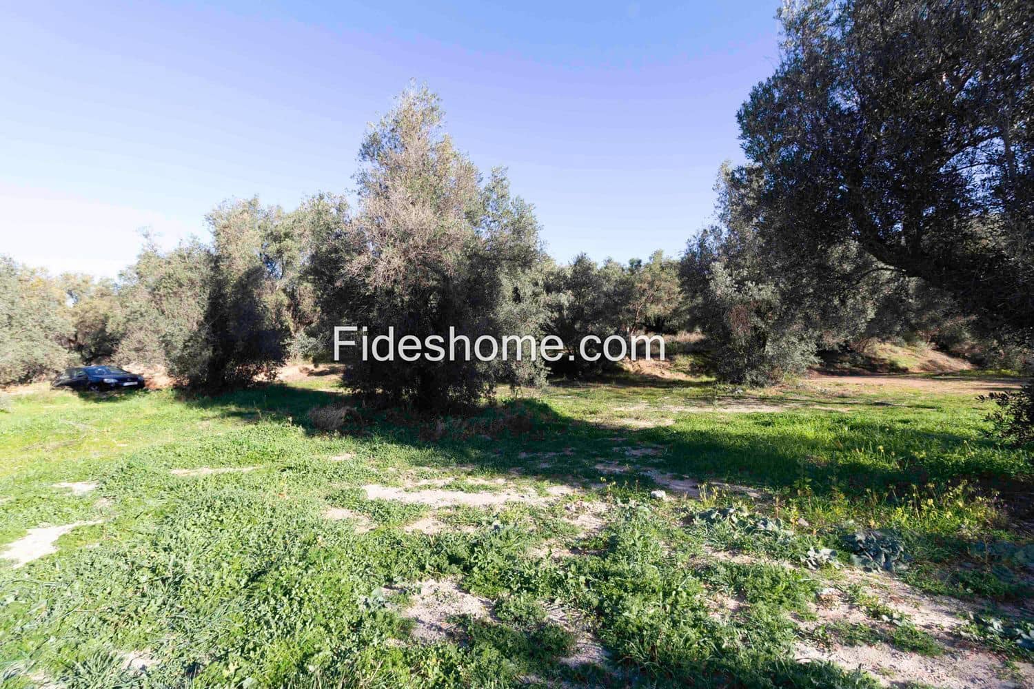 Ubebygd land til salgs i Lecrin - € 104 000 (Ref: 8838105)