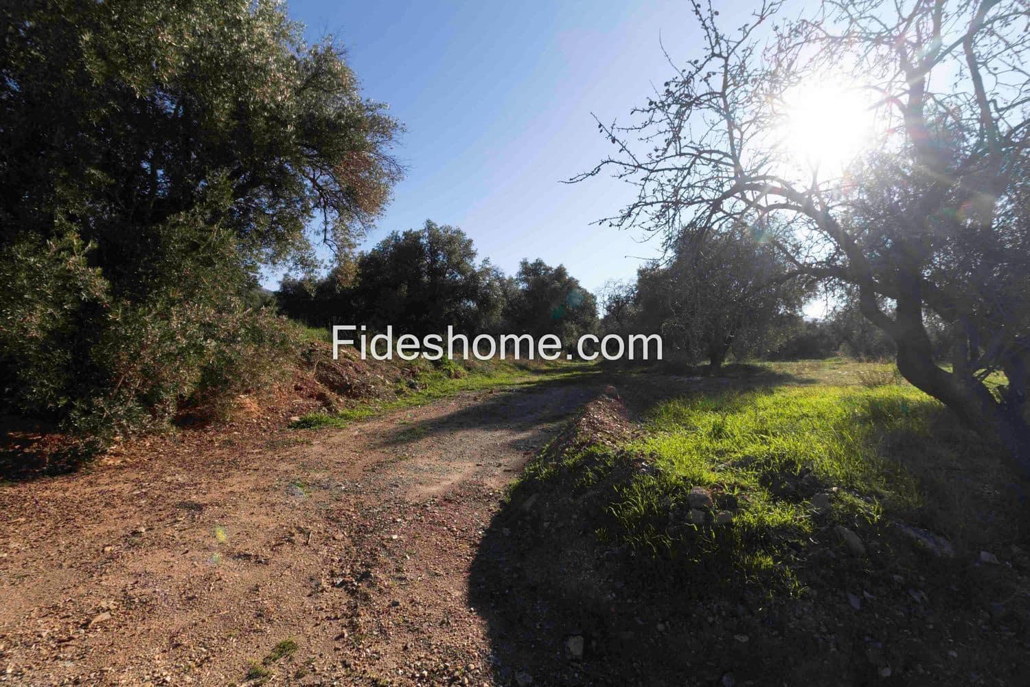 Ubebygd land til salgs i Lecrin - € 104 000 (Ref: 8838105)