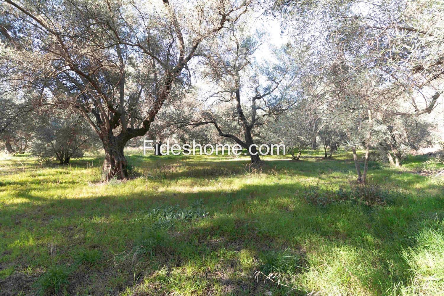 Ubebygd land til salgs i Lecrin - € 104 000 (Ref: 8838105)