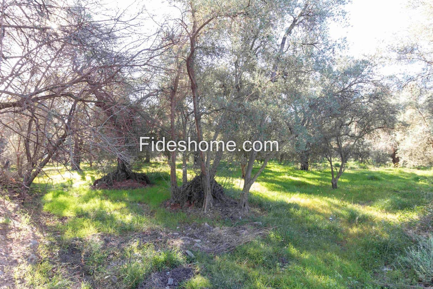 Ubebygd land til salgs i Lecrin - € 104 000 (Ref: 8838105)