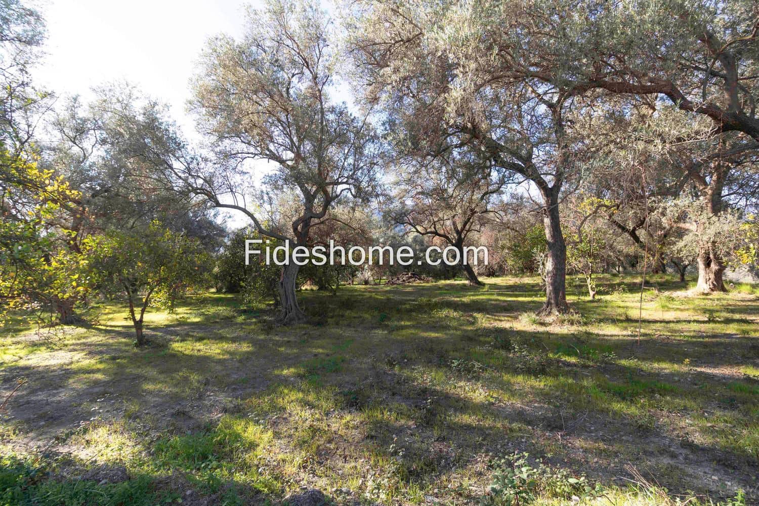 Ubebygd land til salgs i Lecrin - € 104 000 (Ref: 8838105)