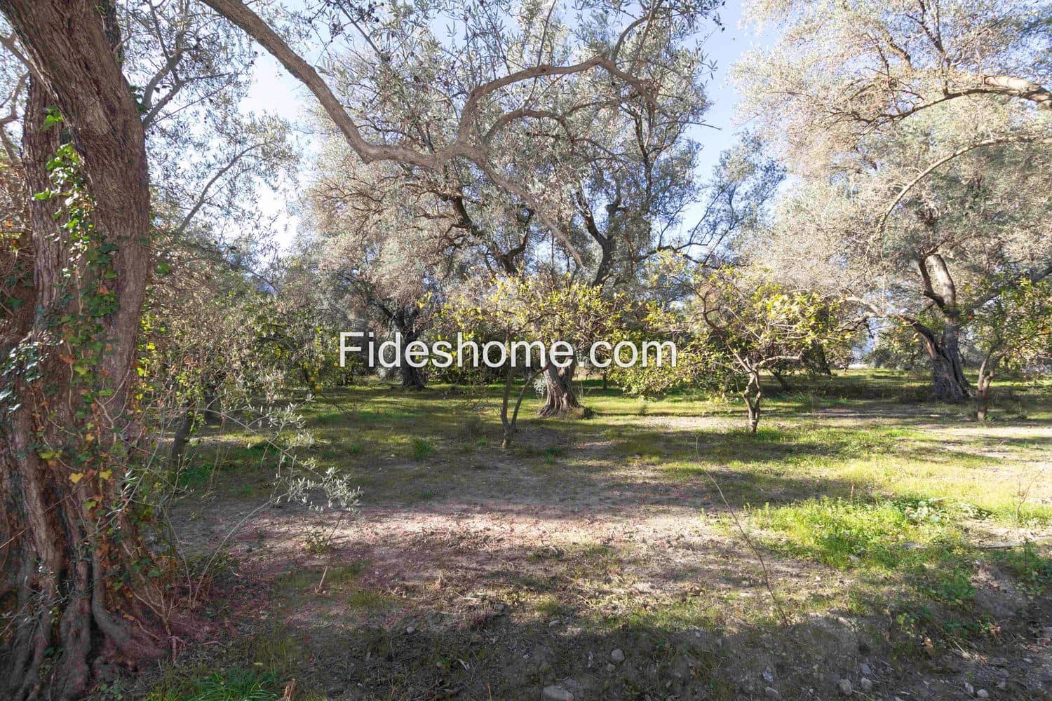 Ubebygd land til salgs i Lecrin - € 104 000 (Ref: 8838105)