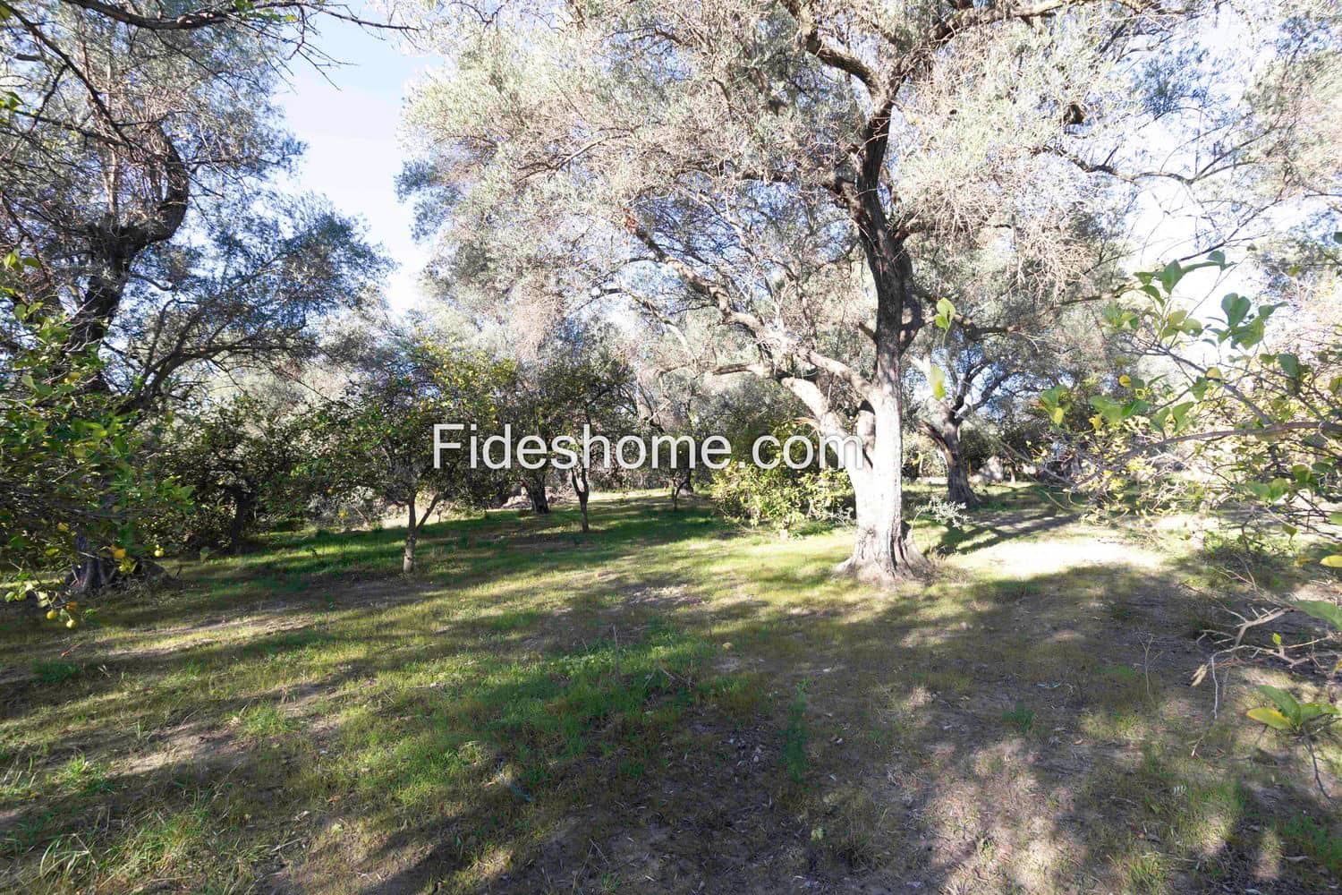 Ubebygd land til salgs i Lecrin - € 104 000 (Ref: 8838105)