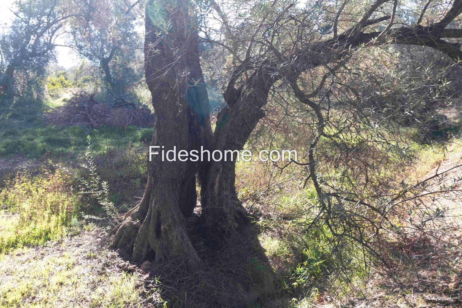 Ubebygd land til salgs i Lecrin - € 104 000 (Ref: 8838105)