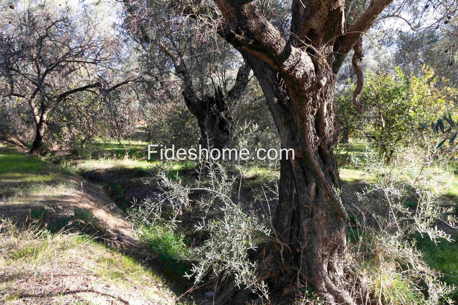 Ubebygd land til salgs i Lecrin - € 104 000 (Ref: 8838105)