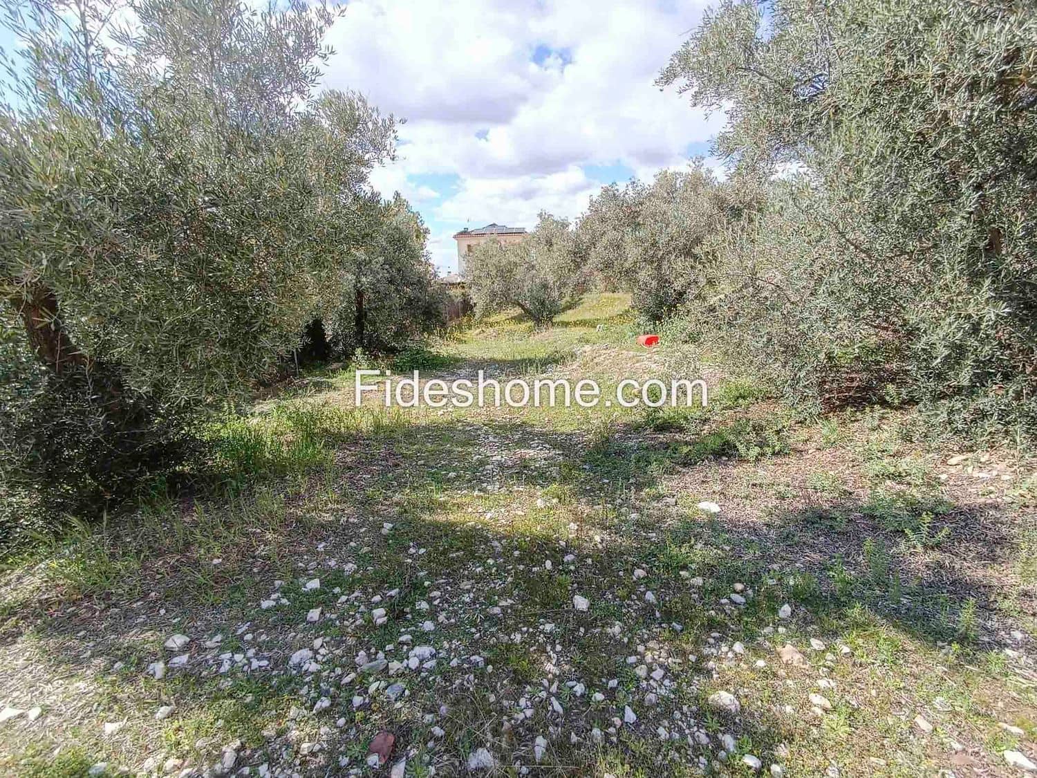 Grunde uden byggetilladelser til salg i Durcal - € 68.000 (Ref: 8901773)