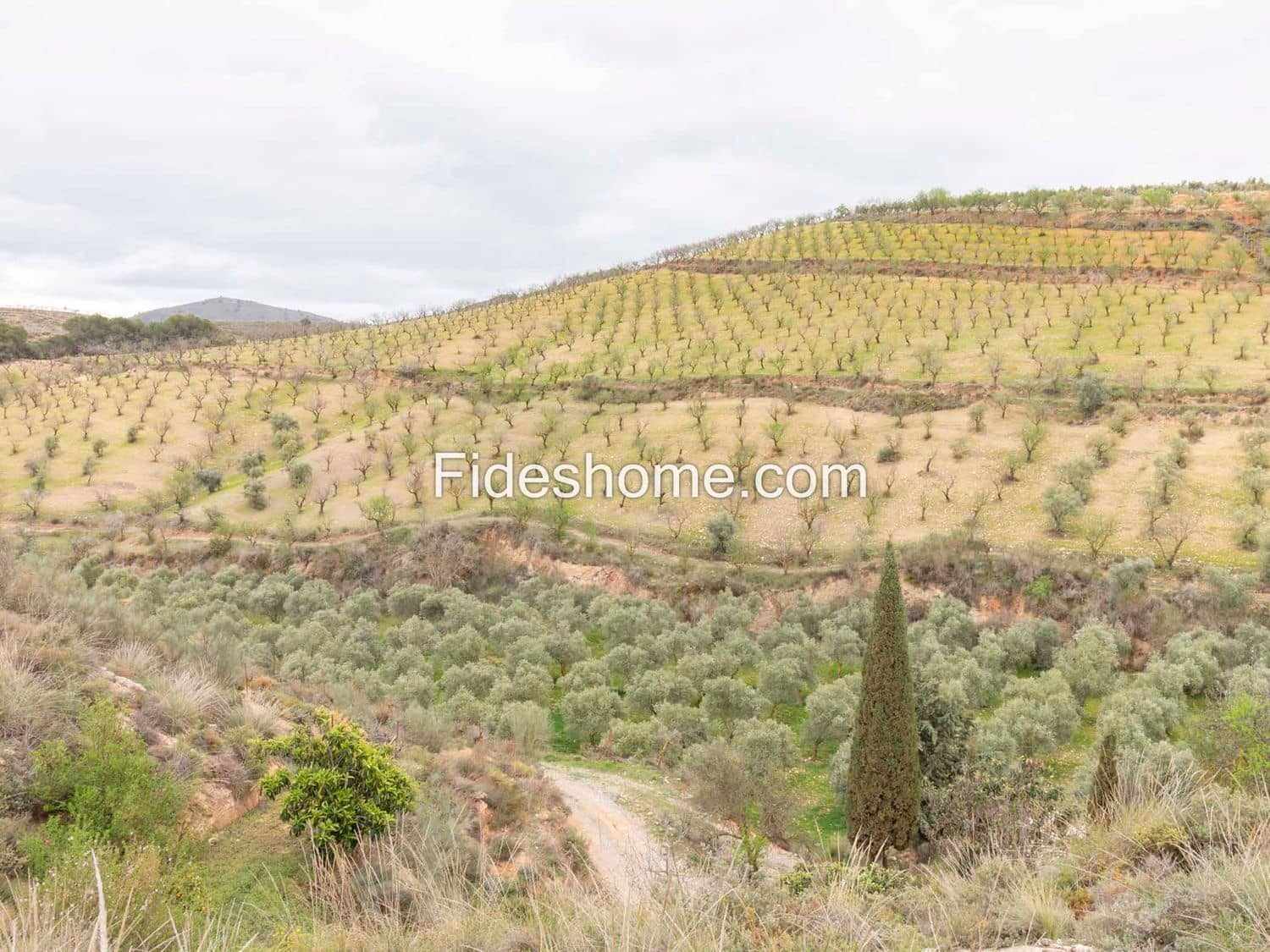 7 soveværelse Finca/Landehus til salg i Villamena med swimmingpool garage - € 890.000 (Ref: 9004742)