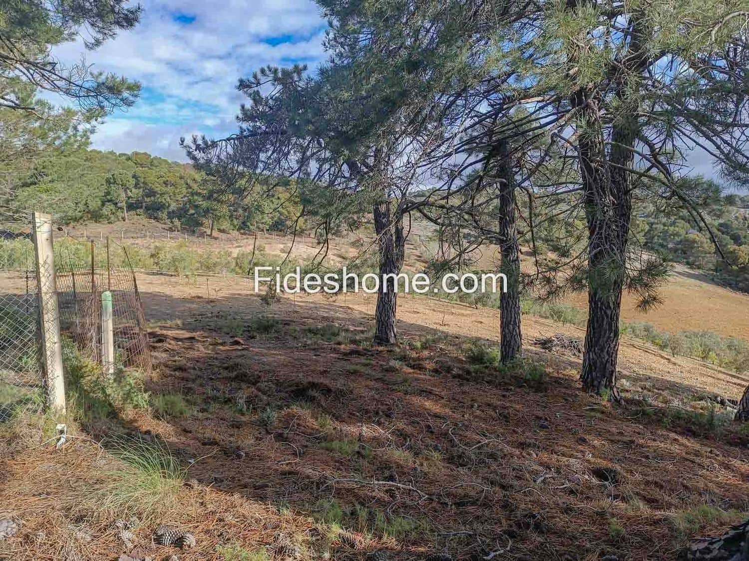 Grunde uden byggetilladelser til salg i Albunuelas - € 199.000 (Ref: 9124537)