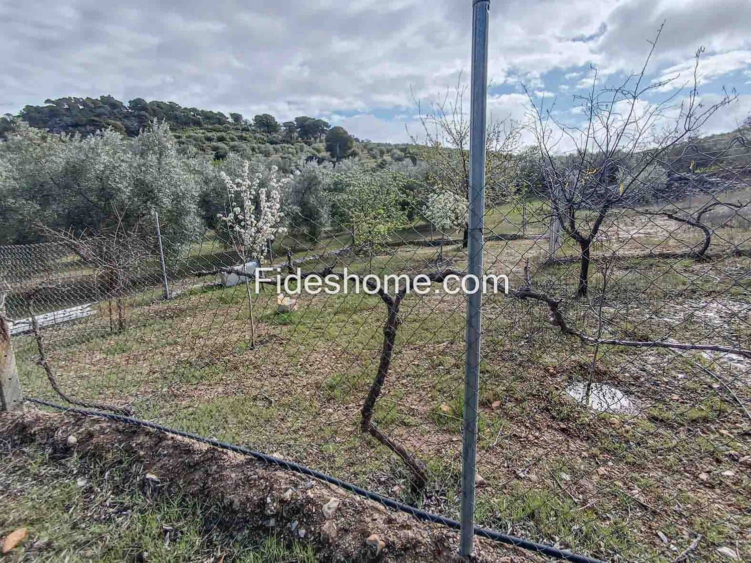 Grunde uden byggetilladelser til salg i Albunuelas - € 199.000 (Ref: 9124537)