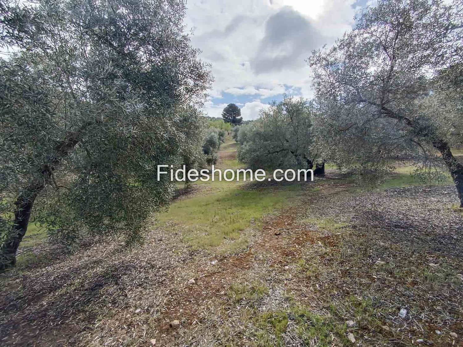 Grunde uden byggetilladelser til salg i Albunuelas - € 199.000 (Ref: 9124537)