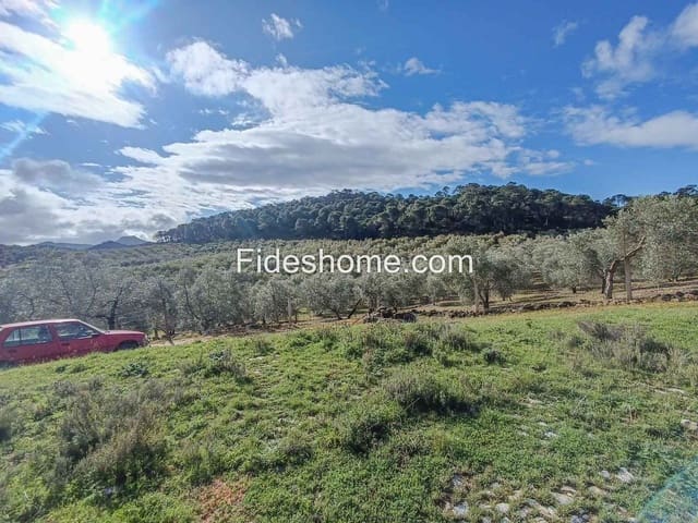 Teren niezagospodarowany na sprzedaż w Albuñuelas - 199 000 € (Ref: 9124537)