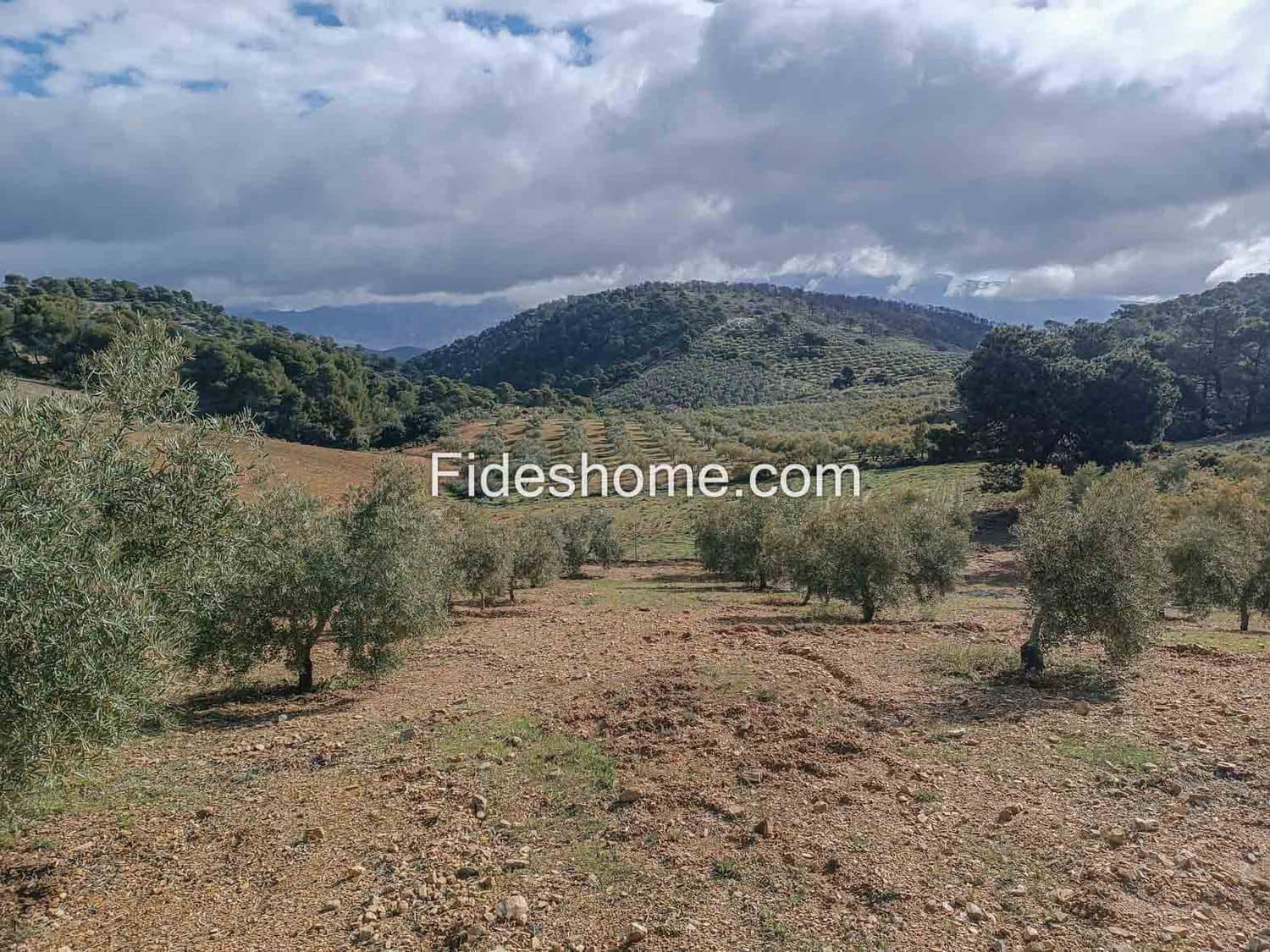 Grunde uden byggetilladelser til salg i Albunuelas - € 199.000 (Ref: 9124537)