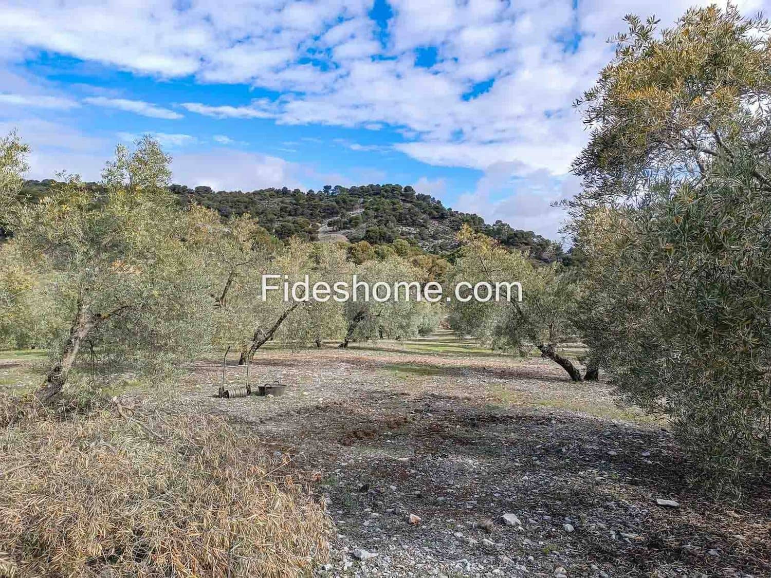 Grunde uden byggetilladelser til salg i Albunuelas - € 199.000 (Ref: 9124537)