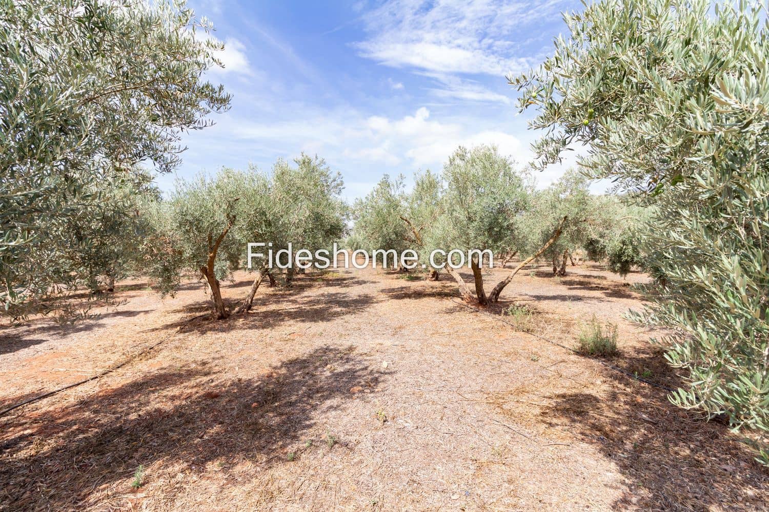 4 soveværelse Finca/Landehus til salg i Durcal med swimmingpool garage - € 220.000 (Ref: 9217043)