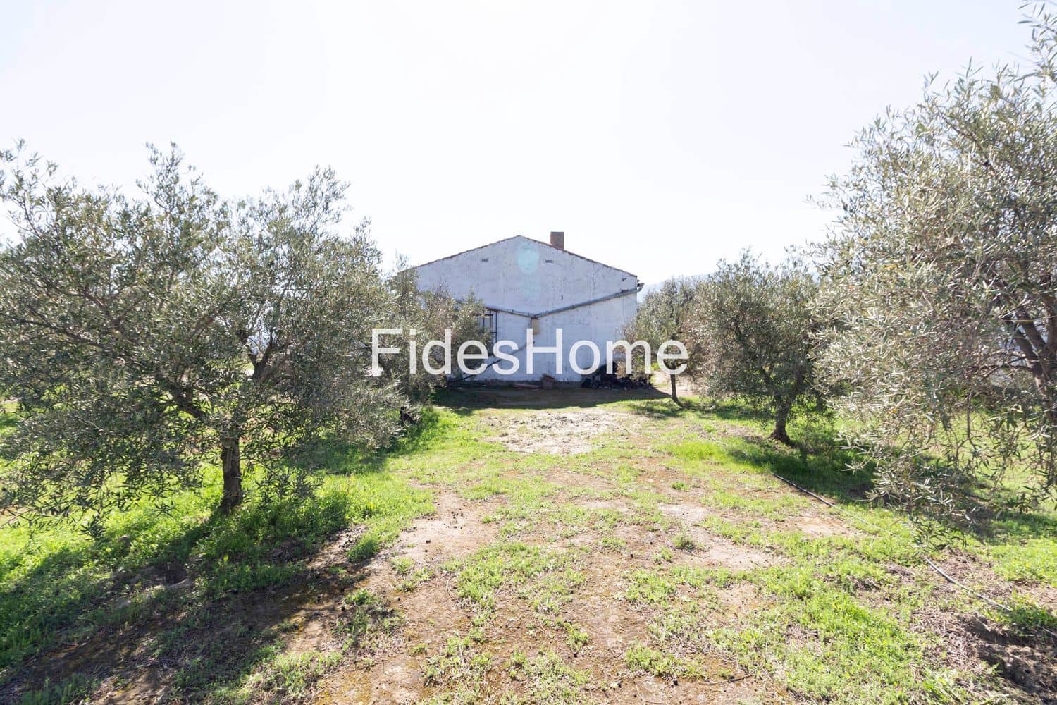 Finca/Casa Rural de 1 habitación en Saleres en venta con garaje - 149.900 € (Ref: 9226108)