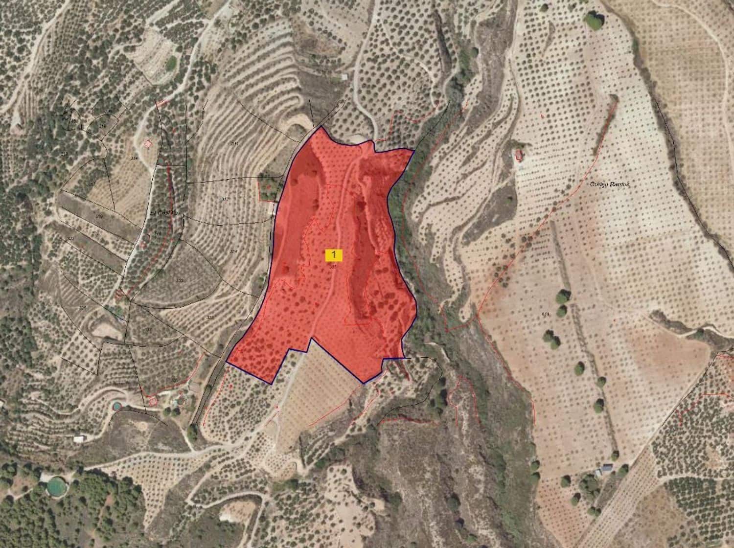 Terre non Aménagée à vendre à El Valle - 95 000 € (Ref: 9256751)