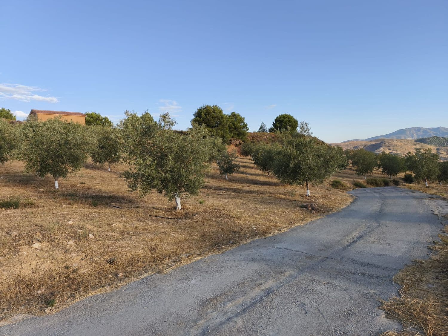 Terre non Aménagée à vendre à El Valle - 95 000 € (Ref: 9256751)