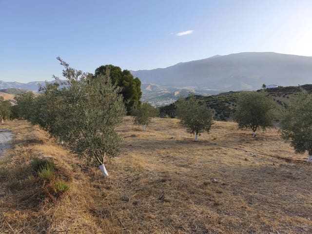 Ubebygd land til salgs i El Valle - € 95 000 (Ref: 9256751)