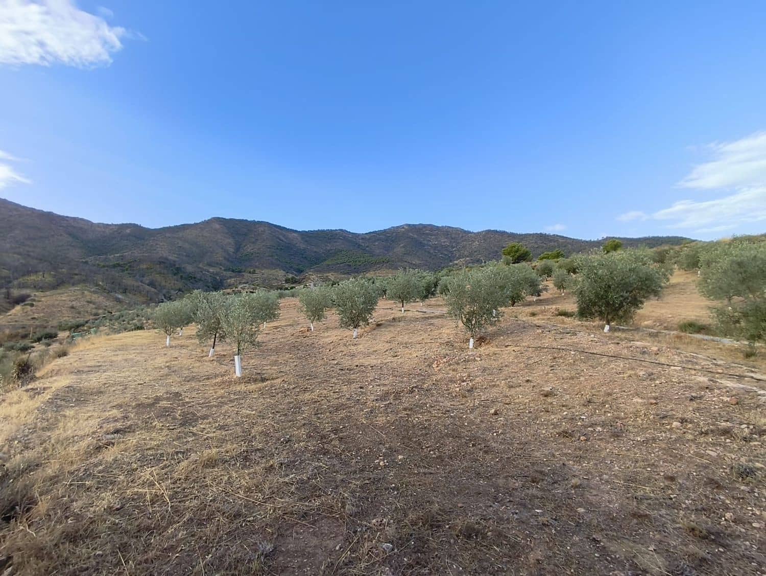 Terre non Aménagée à vendre à El Valle - 95 000 € (Ref: 9256751)