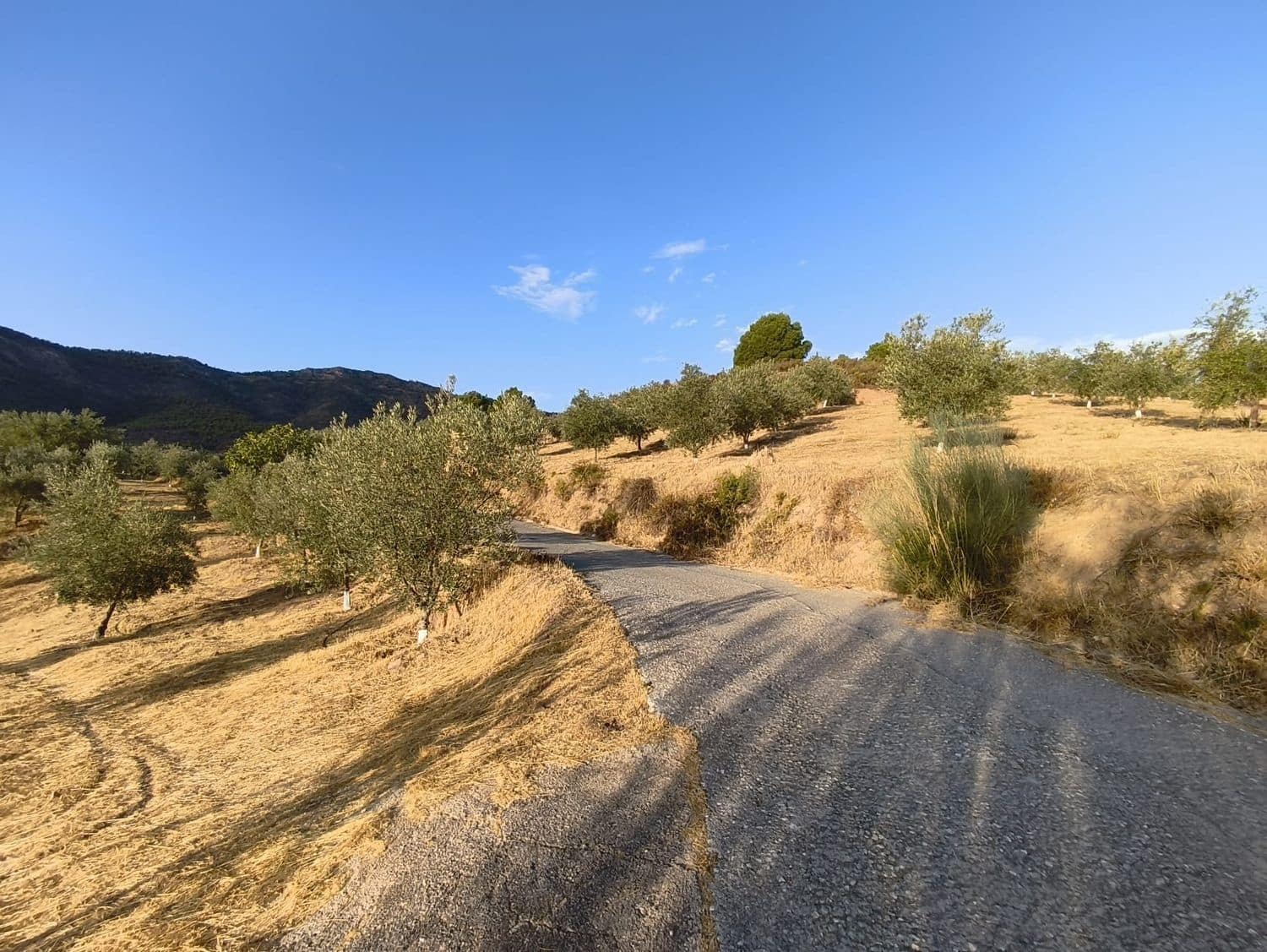 Terre non Aménagée à vendre à El Valle - 95 000 € (Ref: 9256751)