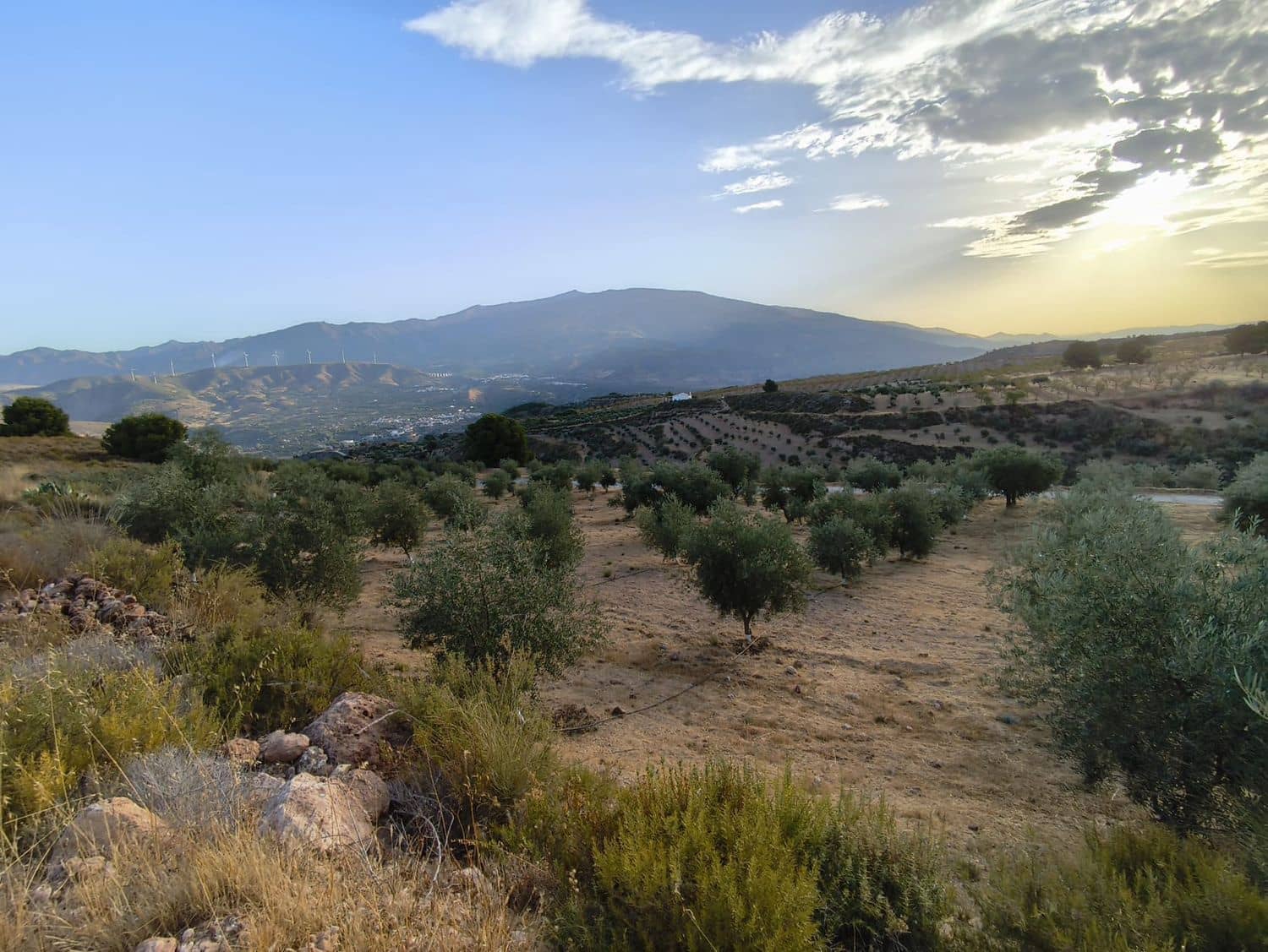 Terre non Aménagée à vendre à El Valle - 95 000 € (Ref: 9256751)