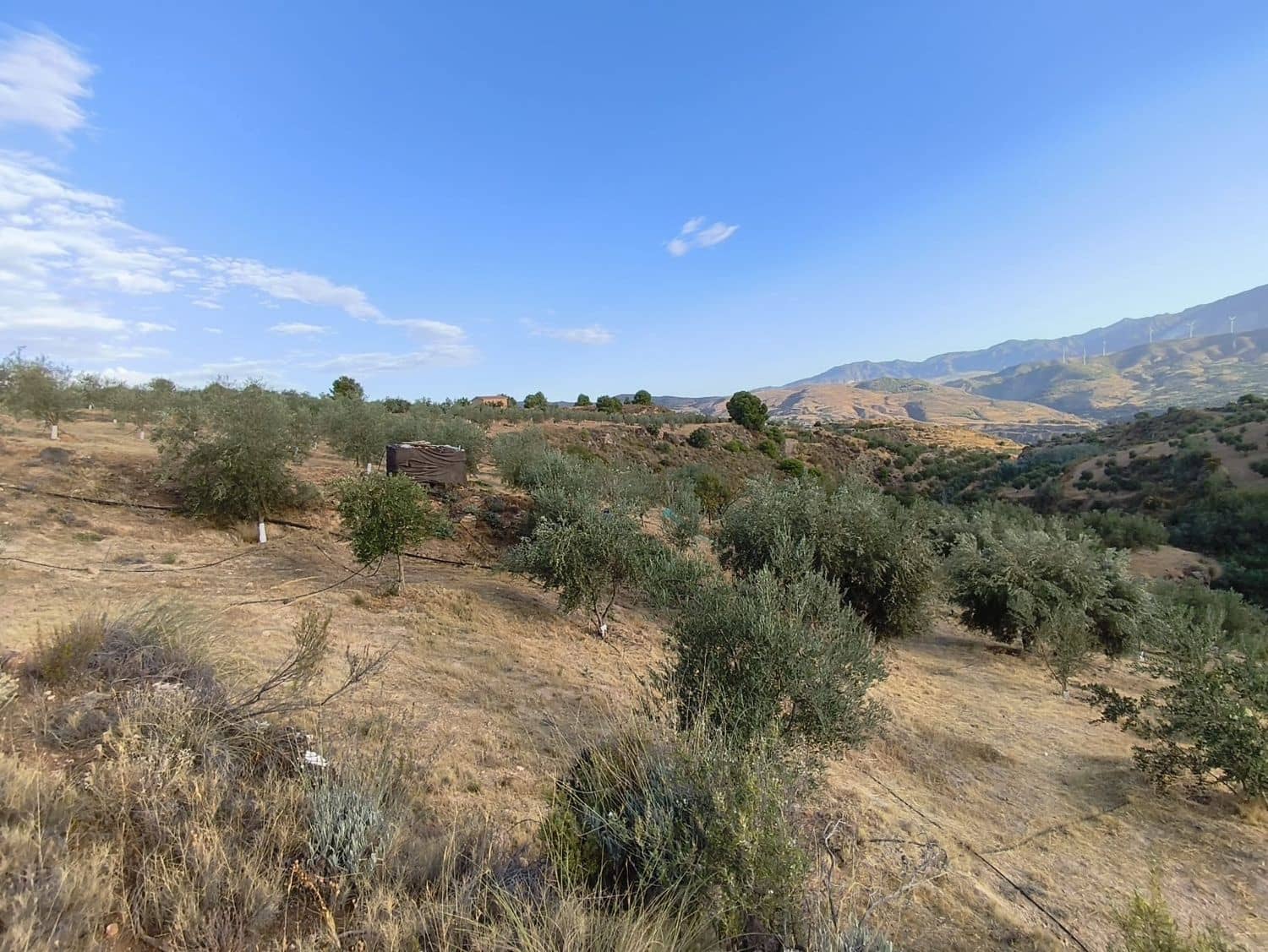 Terre non Aménagée à vendre à El Valle - 95 000 € (Ref: 9256751)