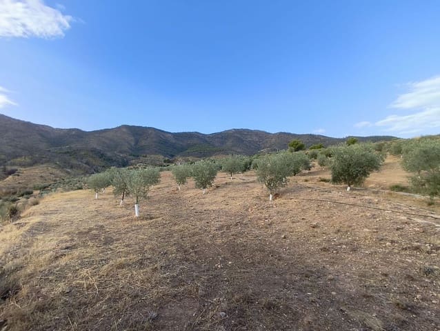Ubebygd land til salgs i El Valle - € 95 000 (Ref: 9256751)