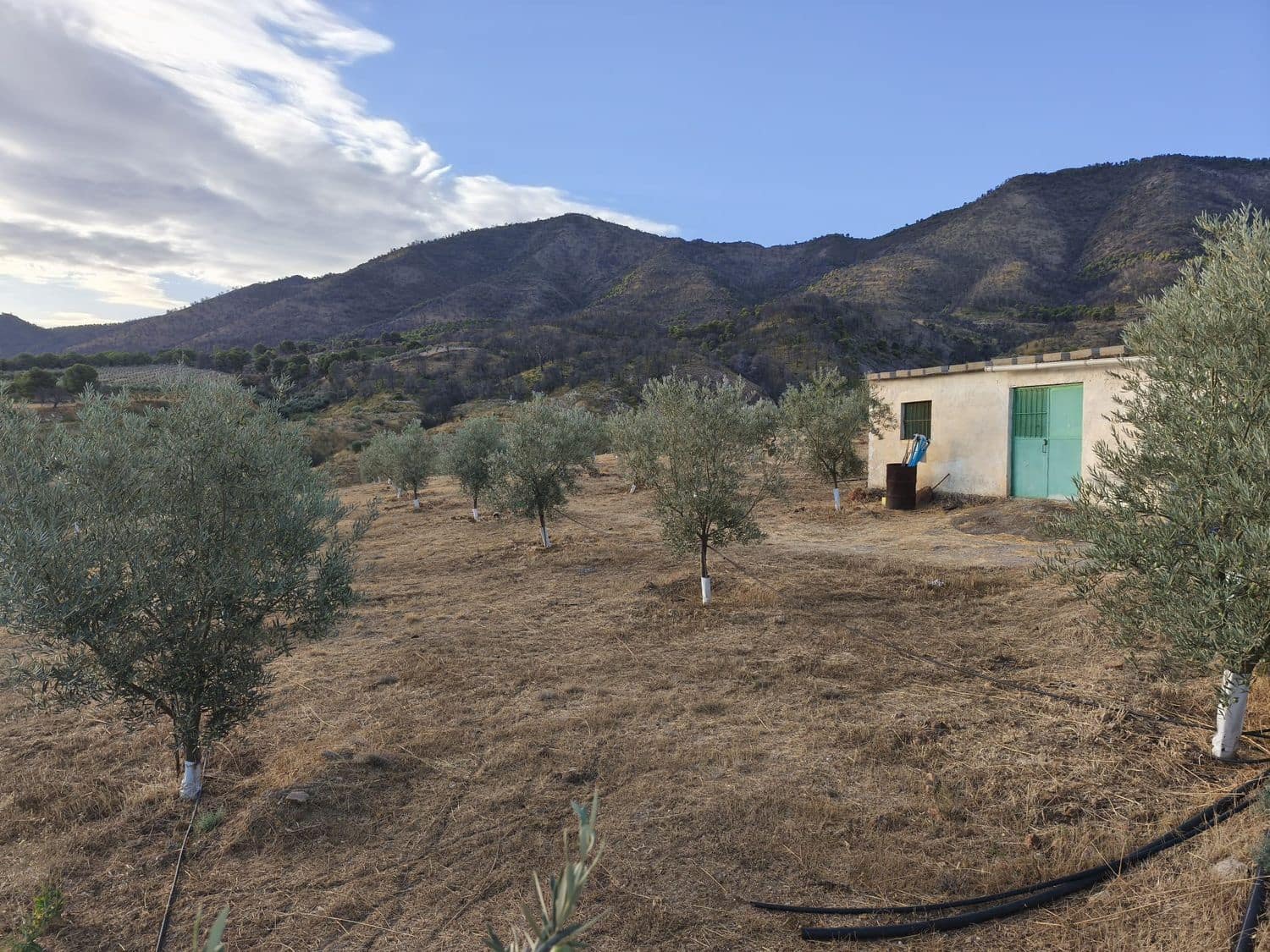 Terre non Aménagée à vendre à El Valle - 95 000 € (Ref: 9256751)