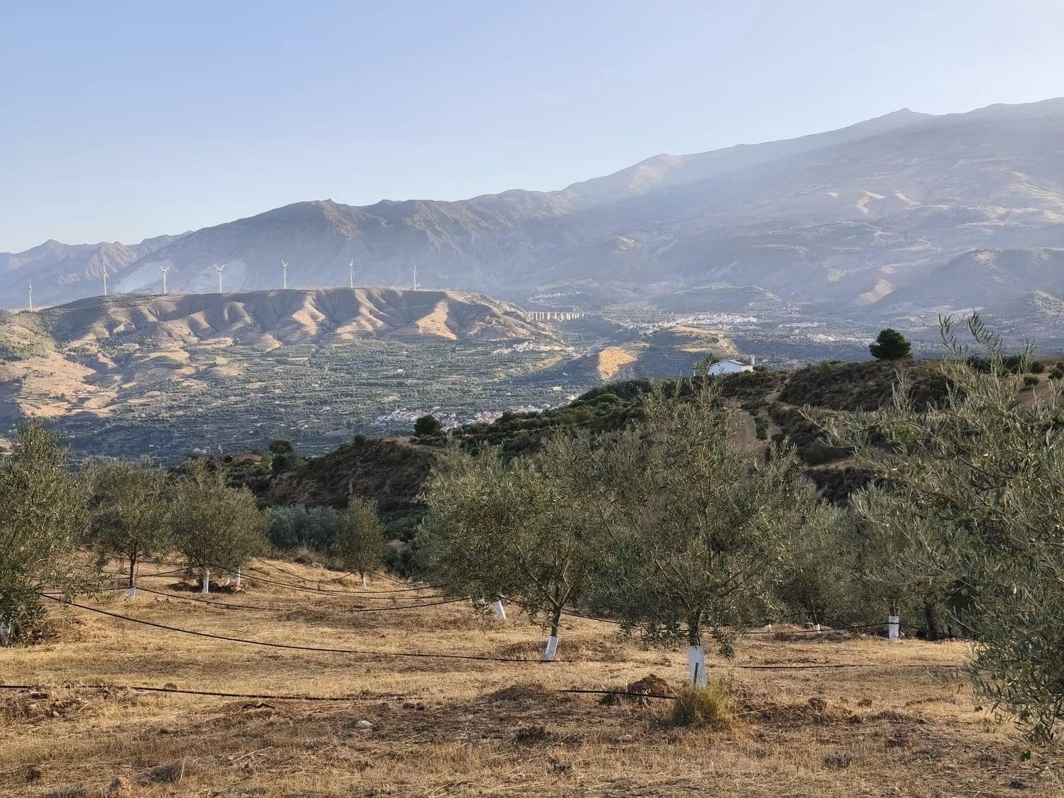 Terre non Aménagée à vendre à El Valle - 95 000 € (Ref: 9256751)