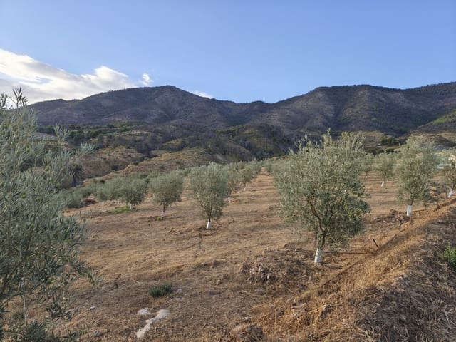 Ubebygd land til salgs i El Valle - € 95 000 (Ref: 9256751)