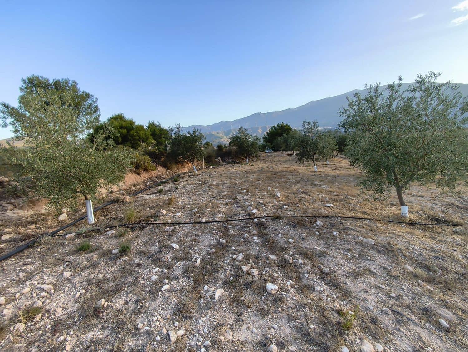 Terre non Aménagée à vendre à El Valle - 95 000 € (Ref: 9256751)