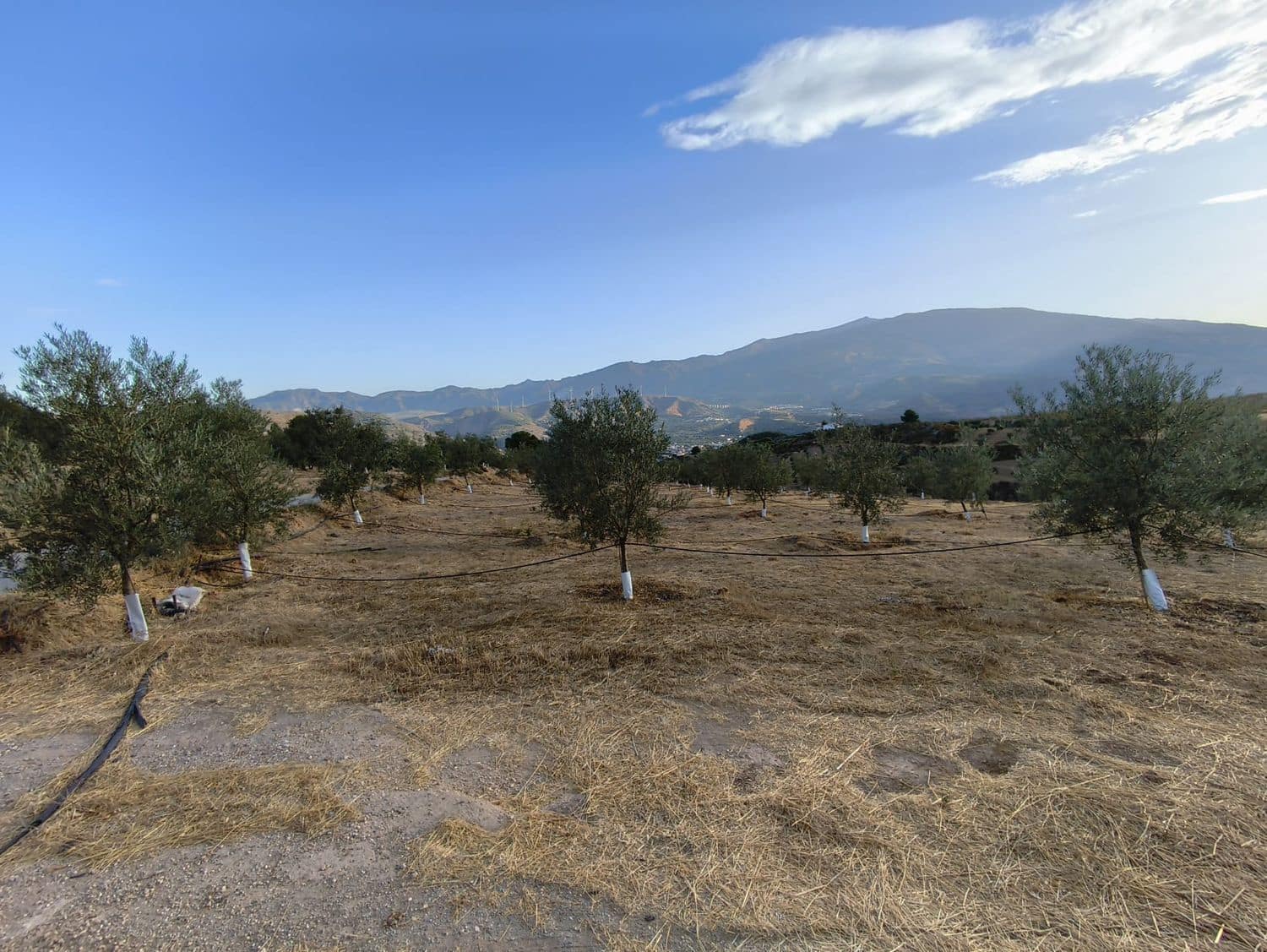 Terre non Aménagée à vendre à El Valle - 95 000 € (Ref: 9256751)