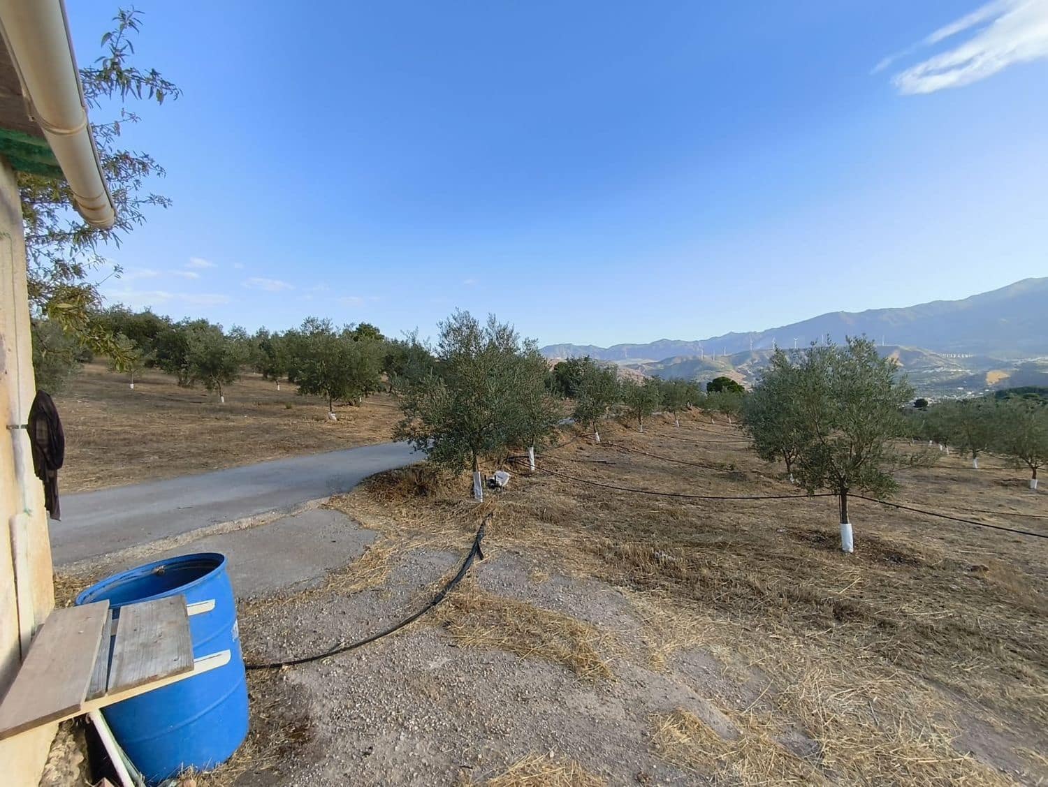 Terre non Aménagée à vendre à El Valle - 95 000 € (Ref: 9256751)