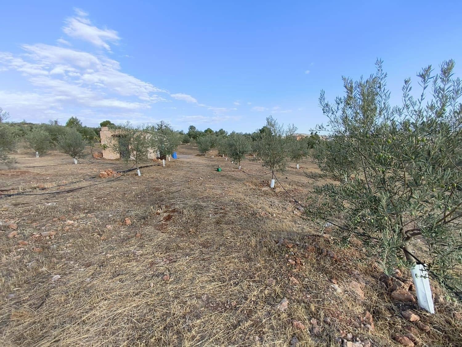 Terre non Aménagée à vendre à El Valle - 95 000 € (Ref: 9256751)