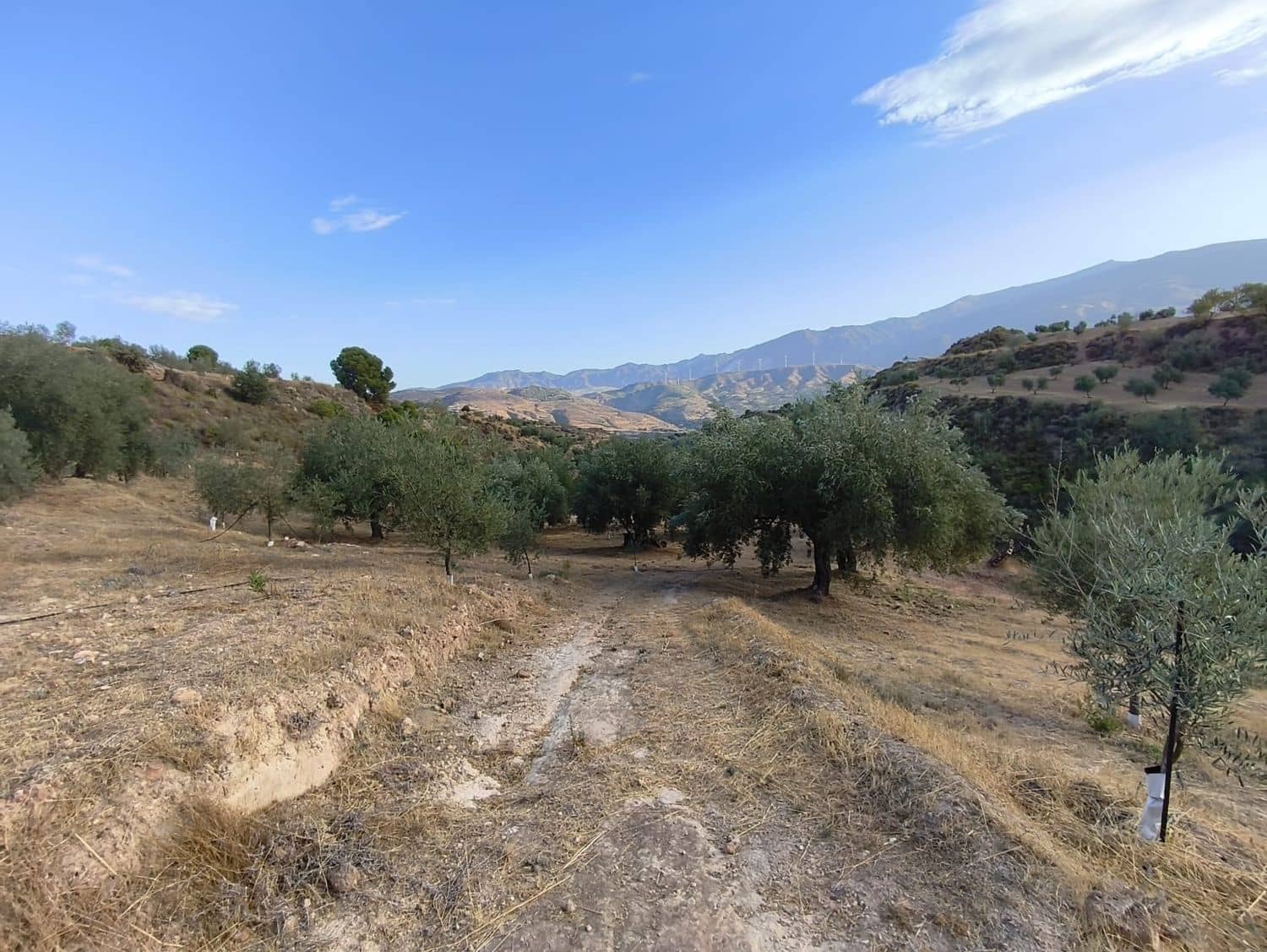 Terre non Aménagée à vendre à El Valle - 95 000 € (Ref: 9256751)