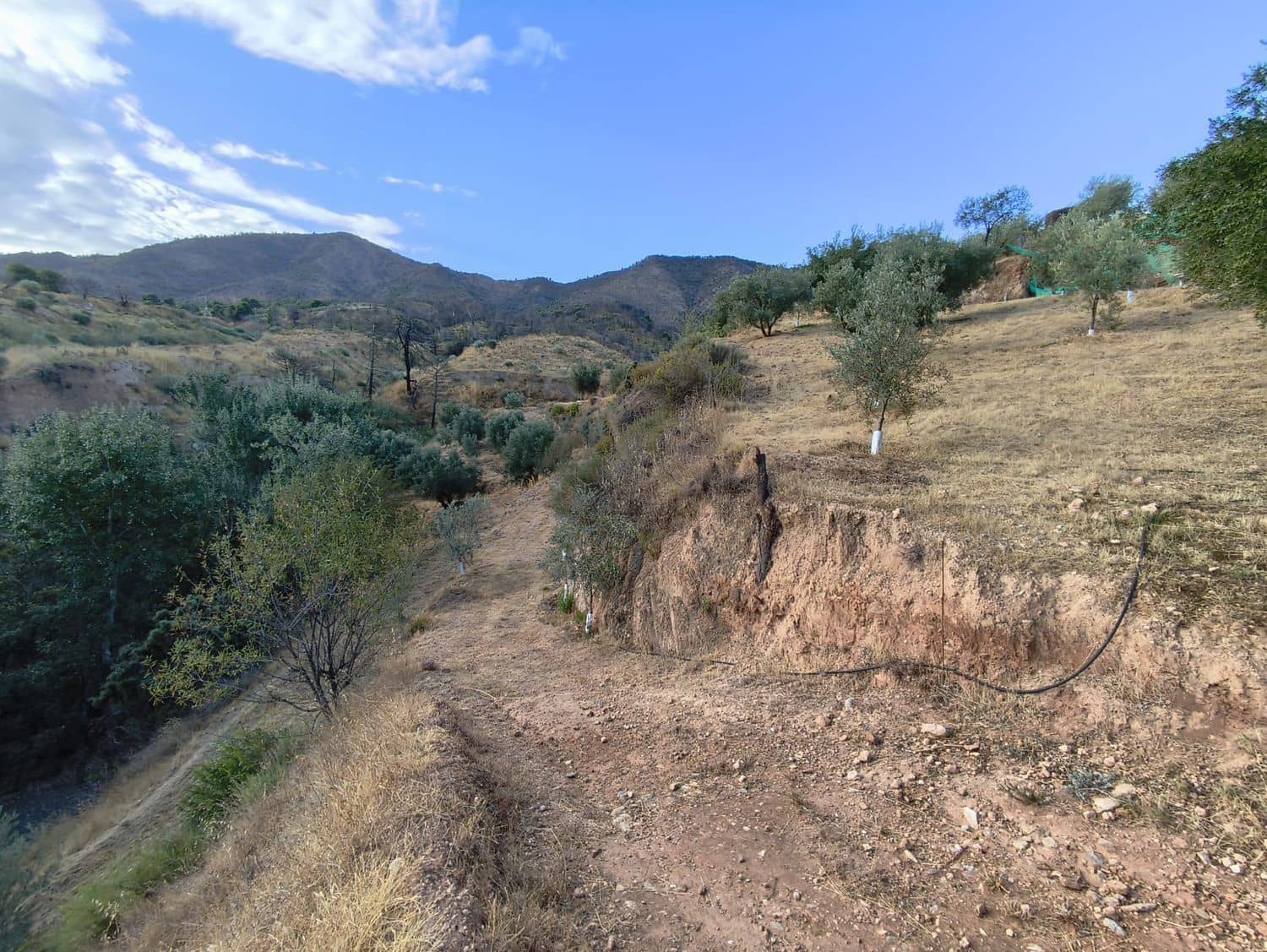 Terre non Aménagée à vendre à El Valle - 95 000 € (Ref: 9256751)