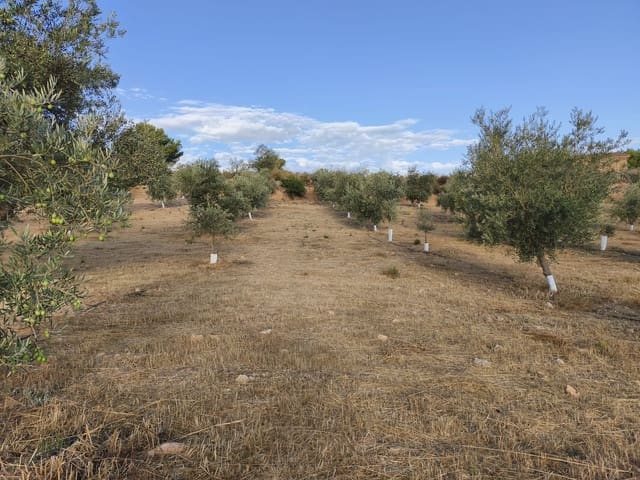 Ubebygd land til salgs i El Valle - € 95 000 (Ref: 9256751)