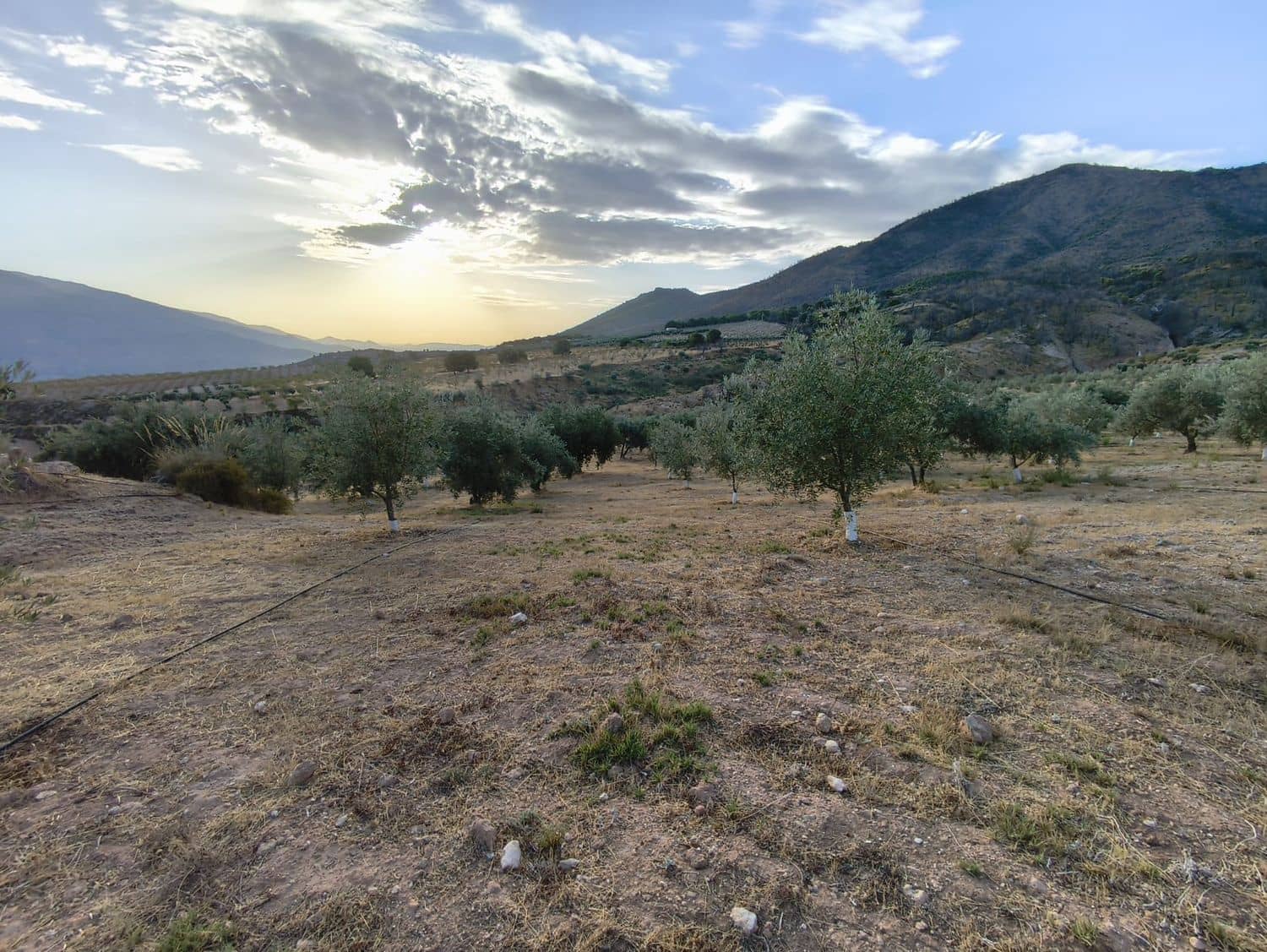 Terre non Aménagée à vendre à El Valle - 95 000 € (Ref: 9256751)